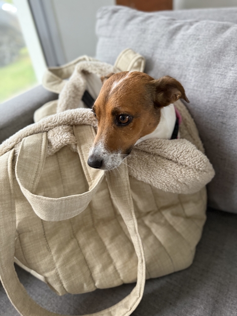 Bolso transportador Nube - comprar online