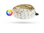 Fita led 5050 14.4W/m RGB Multi cores + Luz Fria 6500k 60 leds 12V IP20 5mts para Áreas Interna 4 vias Ref: 3197 / 567