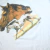 T-shirt X It! Horses Allentown 1999 - Loyalty Store