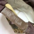 PRIME INC. Vintage Real Tree Made In USA na internet