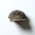 Vintage Real Tree Cap DEER HUNTER