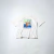Chaos 1993 Vintage Tee