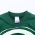 Green Bay Packers Vintage Crewneck na internet