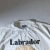 T-shirt Labrador 80's - Loyalty Store