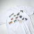 Vintage Tee Frogs Of The World 1994 - Loyalty Store