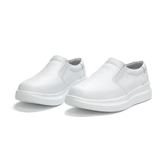 Modelo 311B en internet