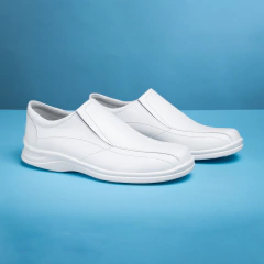 Modelo 5006B en internet