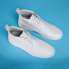 Modelo 5009B en internet