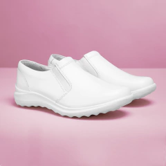 Modelo 511B en internet