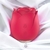 Vibrador de Clitoris flower Vermelho