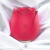 Vibrador de Clitoris flower Vermelho
