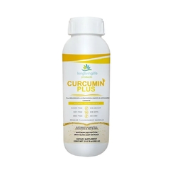 CURCUMIN PLUS