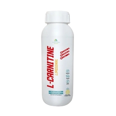 L-CARNITINE PLUS