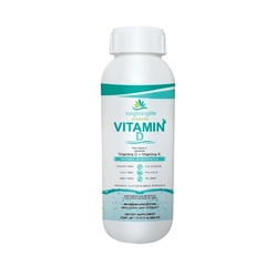 VITAMIN D