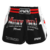 Short Muay Thai Classic Minas Gerais Unissex - loja online