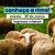 CONHEÇA A RIMA - 29 DE MARÇO (CRIANÇA) - comprar online