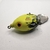 Bolinha - Tropical Frog - loja online