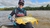 Camiseta de Pesca Feminina - BABY LOOK - Preta - loja online