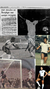 Camisa Retrô Botafogo Adidas 81 Branca #7 na internet