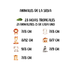 Animales De La Selva Tropical en internet