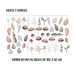 Hojas Y Hongos Otoño