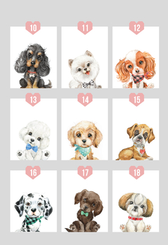 Imagen de Perritos