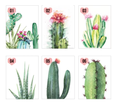 Imagen de Cactus
