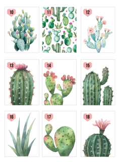 Cactus - tienda online