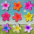 Mini Presilha Flor Pinterest