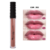 Gloss Thick Lips - MAX LOVE - comprar online