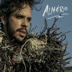 CD Almério - Desempena