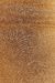 Biquini Hot Pant Lurex na internet