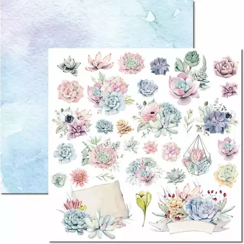 Papel para Scrapbook Dupla Face - SC-580 - Suculentas 10 - Arte Fácil