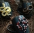 Canecas Serpentes