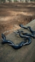Brincos Argola serpente