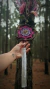 Mandala Transmutação - comprar online