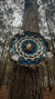 Mandala Encantos do Mar - comprar online