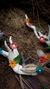 Imagem do Cervo Ostara
