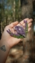 Amuleto Lavanda