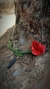 Amuleto Rosa 