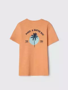 CAMISETA INFANTIL HERING ESTAMPA FRENTE E COSTAS REF.5D1L na internet