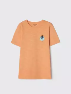 CAMISETA INFANTIL HERING ESTAMPA FRENTE E COSTAS REF.5D1L