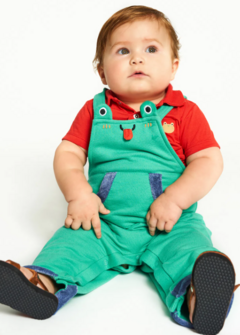 Jardineira Infantil Bebê Menino Estampa Sapinho Cururu – Tam. 9 a 12 meses – Hortelã - Marca Alphabeto - comprar online