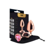 PLUG ANAL G ROSE CORES DIVERSAS