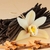 ESSÊNCIA VANILLA & PATCHOULY PARA AROMATIZADOR & SABONETE - 50ML - comprar online