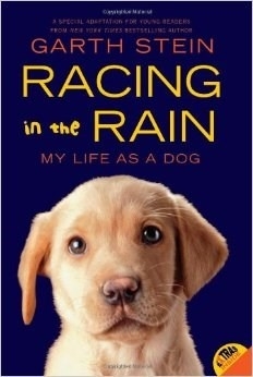 ART OF RACING IN THE RAIN, THE (PB)