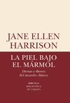 La piel bajo el mármol