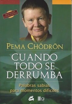 ** CUANDO TODO SE DERRUMBA (COEDICION)