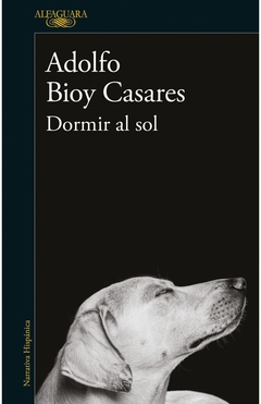 Dormir al sol