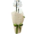 Mine Orquídea Branca na internet